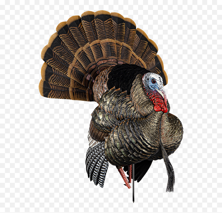 Avian - X Official Site 2021 New Decoys Avian X Hdr Strutter Turkey Decoy Png,Decoy Icon