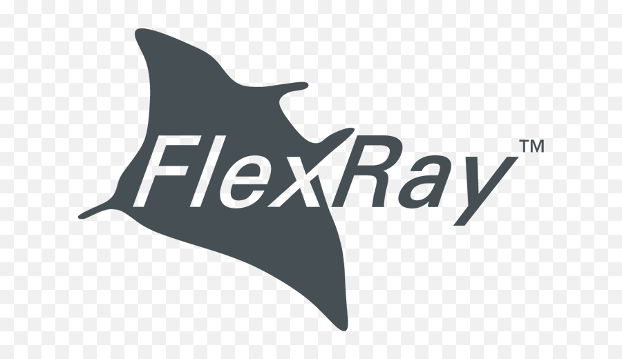 Flexray Controllers - Göpel Electronic Flexray Png,Manta Ray Icon
