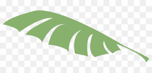 Majormoneky - Horizontal png