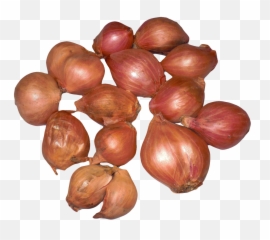 Download Onion Shallots Png Image - Shallot Png,Onion Png