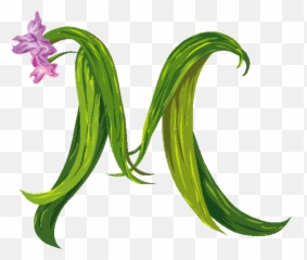 M Pictures - Letter png