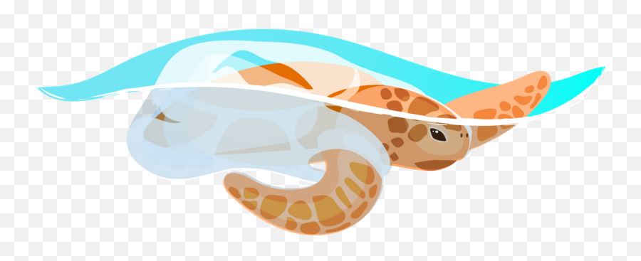 Turtle Icon - Download In Flat Style Water Pollution Animal Png,Wildlife Icon