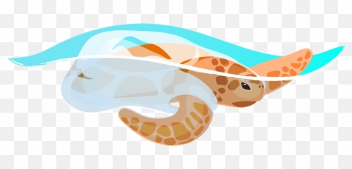 Turtle Icon - Download in Flat Style Water Pollution Animal png