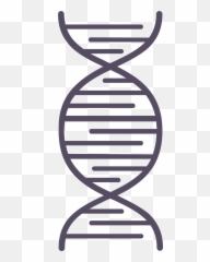 Landry Lab Canada Research Chair In Cellular Systems And - Logo Archivo General De La Nacion Argentina Png,Double Helix Icon