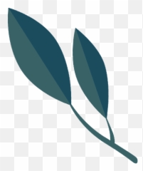 Artists - Clip png