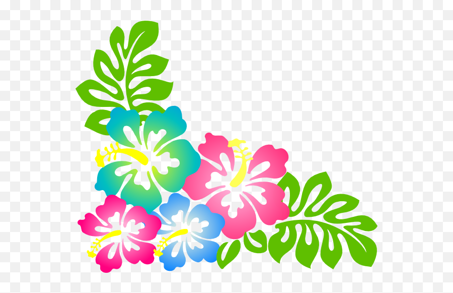 Hawaiian Flower Border - Clipart Hawaii Flower Png,Hawaiian Flowers Png