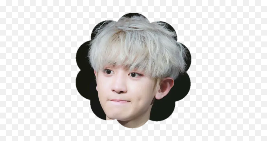 Chanyeol By You - Sticker Maker For Whatsapp Png,Chanyeol Icon