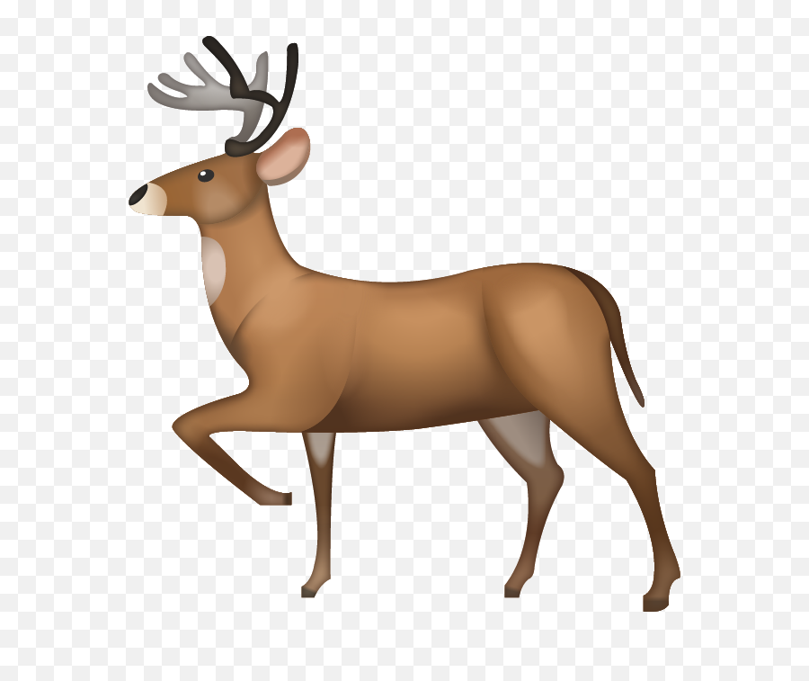 Cow Emoji Iphone Transparent Png - Deer Emoji,Cow Emoji Png