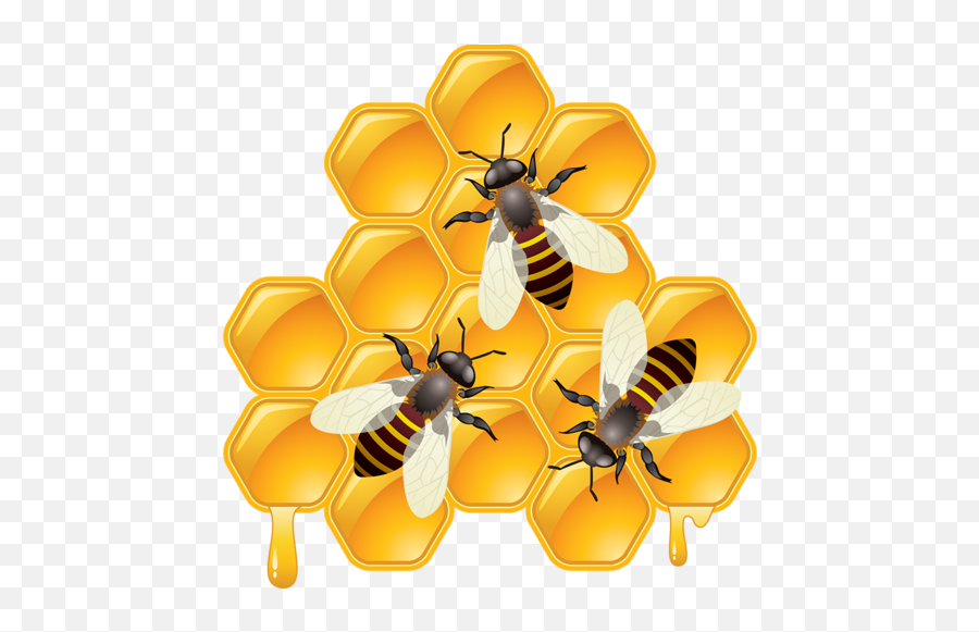 Bee Png - Honey Bee Clipart Png,Bee Transparent Background