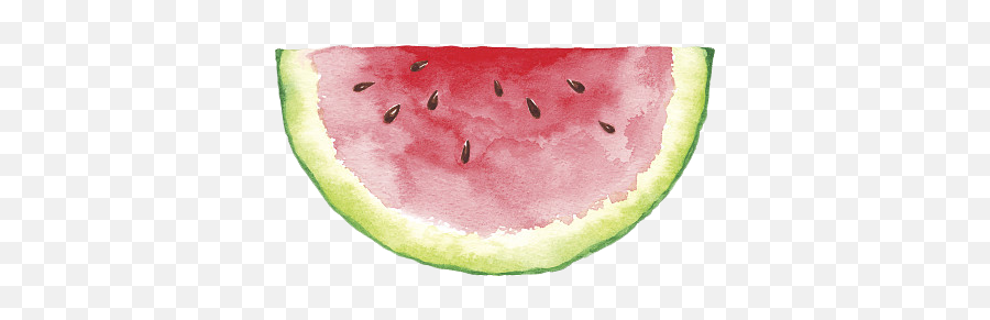 Half Painting Drawing Painter - Easy Watercolor Watermelon Painting Png,Watermelon Png Clipart