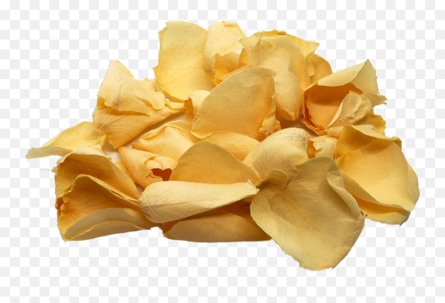 Rose Petal Png - Uncle Royu0027s Cream Rose Petals Artificial Artificial Flower,Rose Petals Png