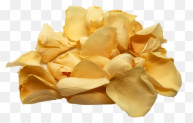Rose Petal Png - Uncle Royu0027s Cream Rose Petals Artificial Flower