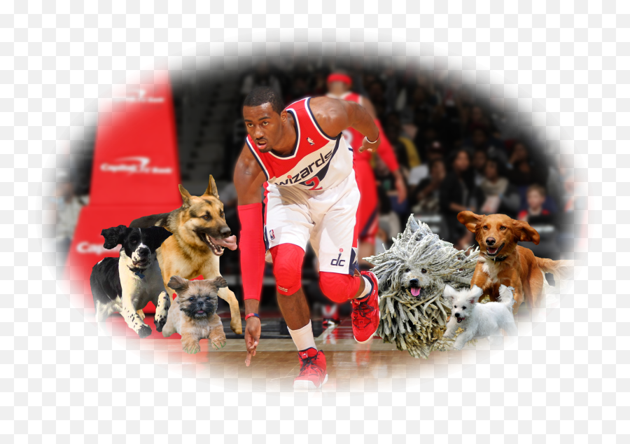 John Wall Washington Wizards - John Wall Hd Png,John Wall Png