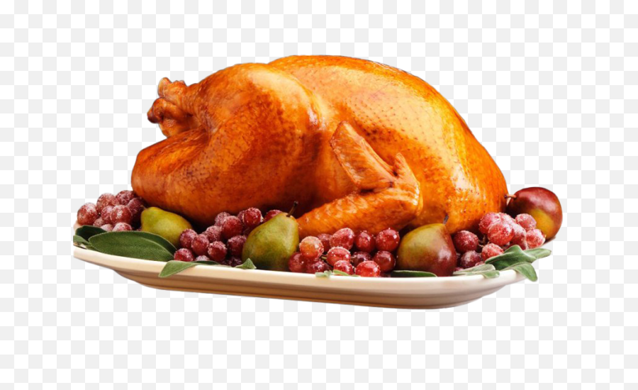 Png Turkey - Cooked Thanksgiving Turkey Png,Turkey Transparent Background