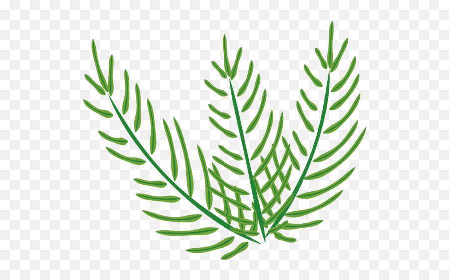 Easter Palm Sunday Plant Flora For - Clip Art Png,Palm Plant Png