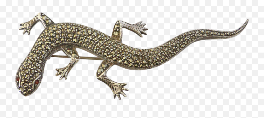 Download Lizard Png Transparent Images - Alligator Lizard,Lizard Png