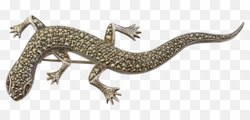 Download Lizard Png Transparent Images - Alligator