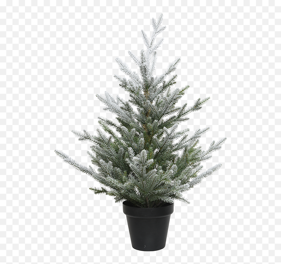 Käthe Wohlfahrt - Online Shop Christmas Tree In A Pot Snowy 2953 Inch Christmas Decorations And More Christmas Tree Pot Png,Snowy Tree Png