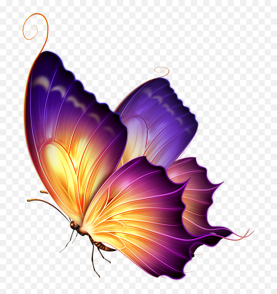 New - Purple Butterfly Png,Editing Pngs