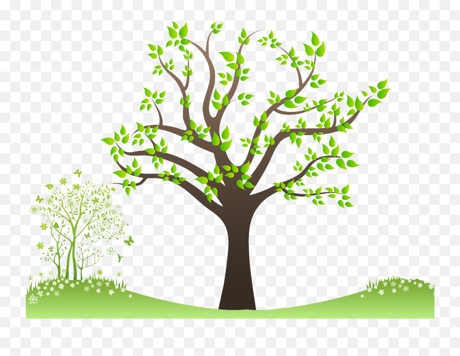 Family Tree Png Free Download Mart - Ye Are The Fruits Of One Tree,Green Tree Png