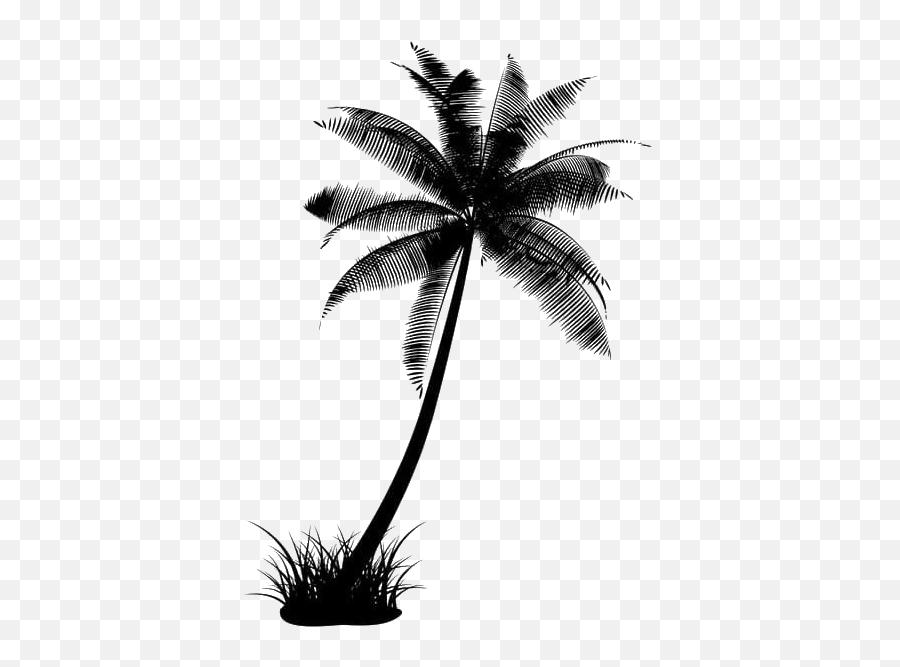 Black Coconut Tree Transparent - Coconut Tree Png Black,Palm Trees Transparent