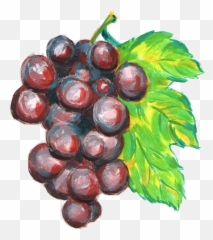 Grape Png - Watercolor Transparent