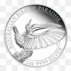 2019 1 Oz Australia Bird Of Paradise 9999 Silver Proof Coin - Birds Of Paradise Proof 2019 Png,Proof Png