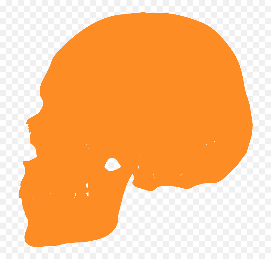 Human Skull Silhouette - Free Vector Silhouettes Creazilla Hair Design Png,Skull Silhouette Png