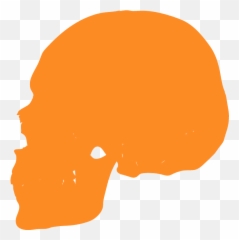 Human Skull Silhouette - Free Vector Silhouettes Creazilla Hair Design png