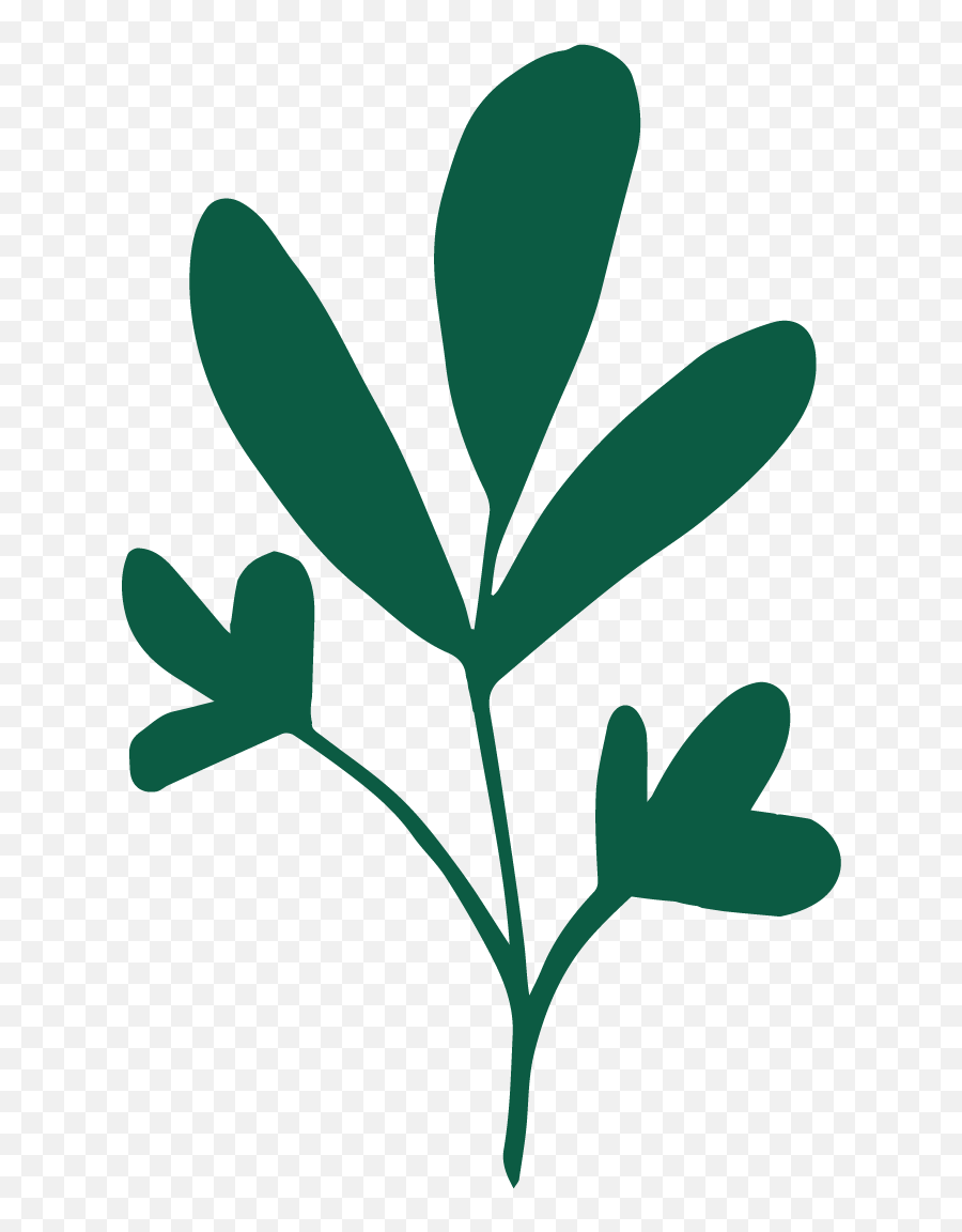 Sprout - Plante Logo Png,Sprout Png