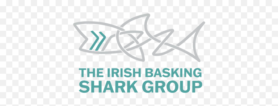 Home The Irish Basking Shark Group - World Bank Png,Shark Logo Brand