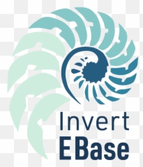 Invert - EBase Portal University of Michigan Museum Horizontal png
