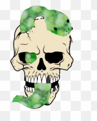 Skull Snake Creepy - Free Image On Pixabay Skeleton With Snake Png,Spooky Skeleton Transparent