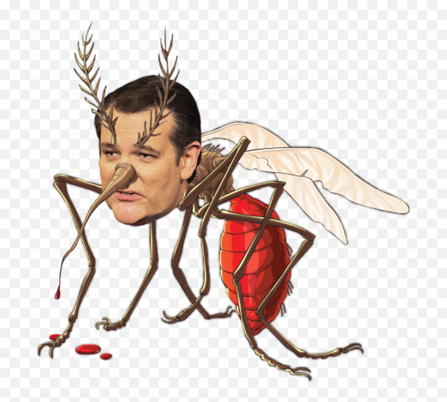 Mosquito Face Insect Nose Invertebrate Head Fictional - Ted Mosquito Face Png,Nose Png