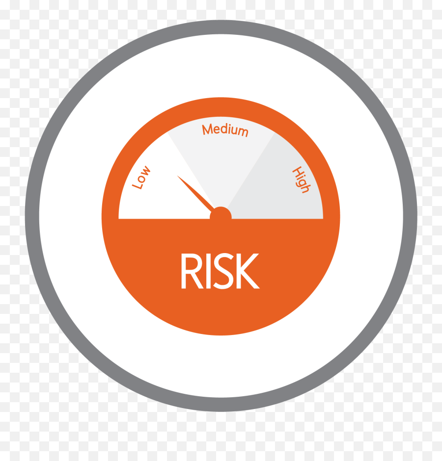 What We Do - Low Risk Logo Transparent Png,Low Risk Icon