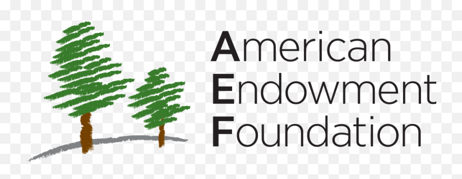 Donors U2014 Code2040 - American Endowment Foundation Png,Facebook Icon 300dpi