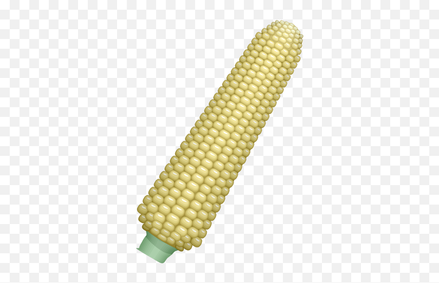 Corn Cob Public Domain Vectors - James Cook Png,Corn Stalk Icon