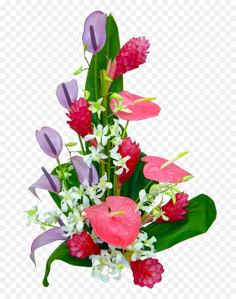 Orchid Tropical Hawaiian Flowers - Flower Bouquet Congratulations Png,Hawaiian Flowers Png