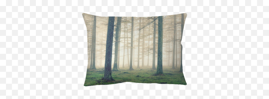Forest With Fog And Vintage Effect Pillow Cover U2022 Pixers - We Live To Change Cushion Png,Fog Effect Png