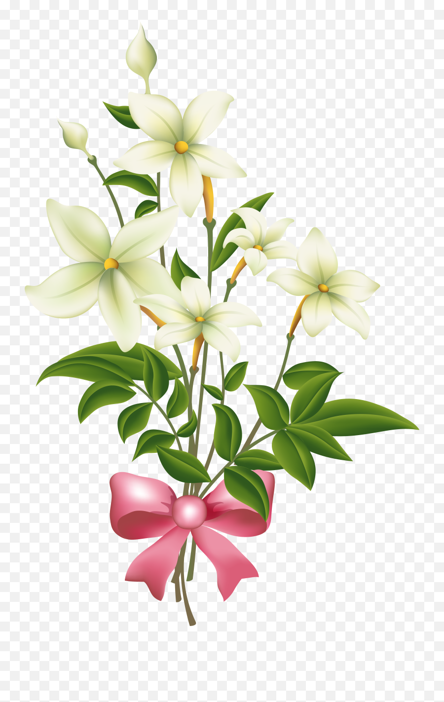 Frauengruppe Clipart Of Flowers White With Pink Bow Png Green