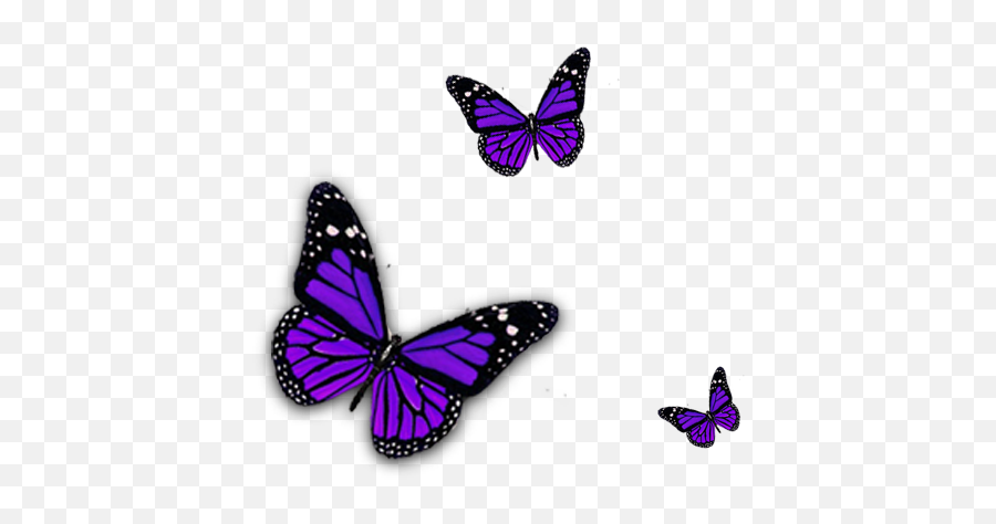 Purple Butterfly Png Clipart - Purple Butterfly Transparent,Butterflies Transparent Background