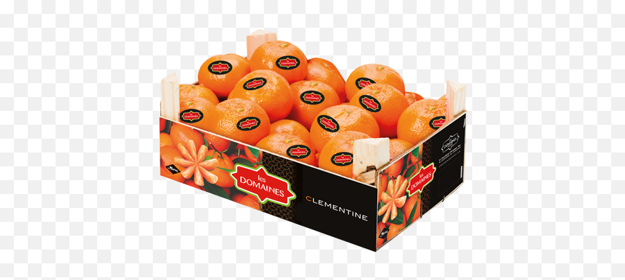 Clementine Les Domaines Export - Tangerine Png,Clementine Png