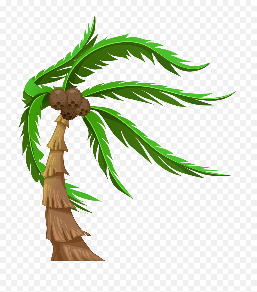 With Coconuts Transparent Png Clip Art Image - Coconut Tree Transparent Background Coconut Tree Clip Art Png,Coconut Png