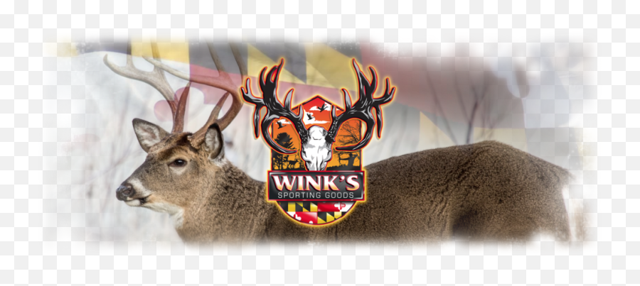 Winku0027s Sporting Goods - Reindeer Png,Wink Png