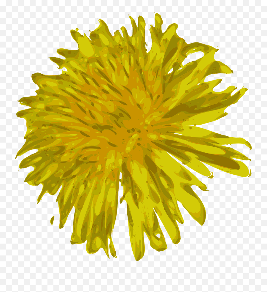 Dandelion Flower Beautiful - Free Vector Graphic On Pixabay Clip Art Png,Dandelion Png