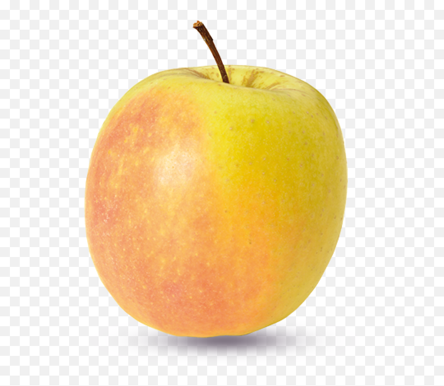 Tree Nursery Werth - Apple Png,Golden Apple Png