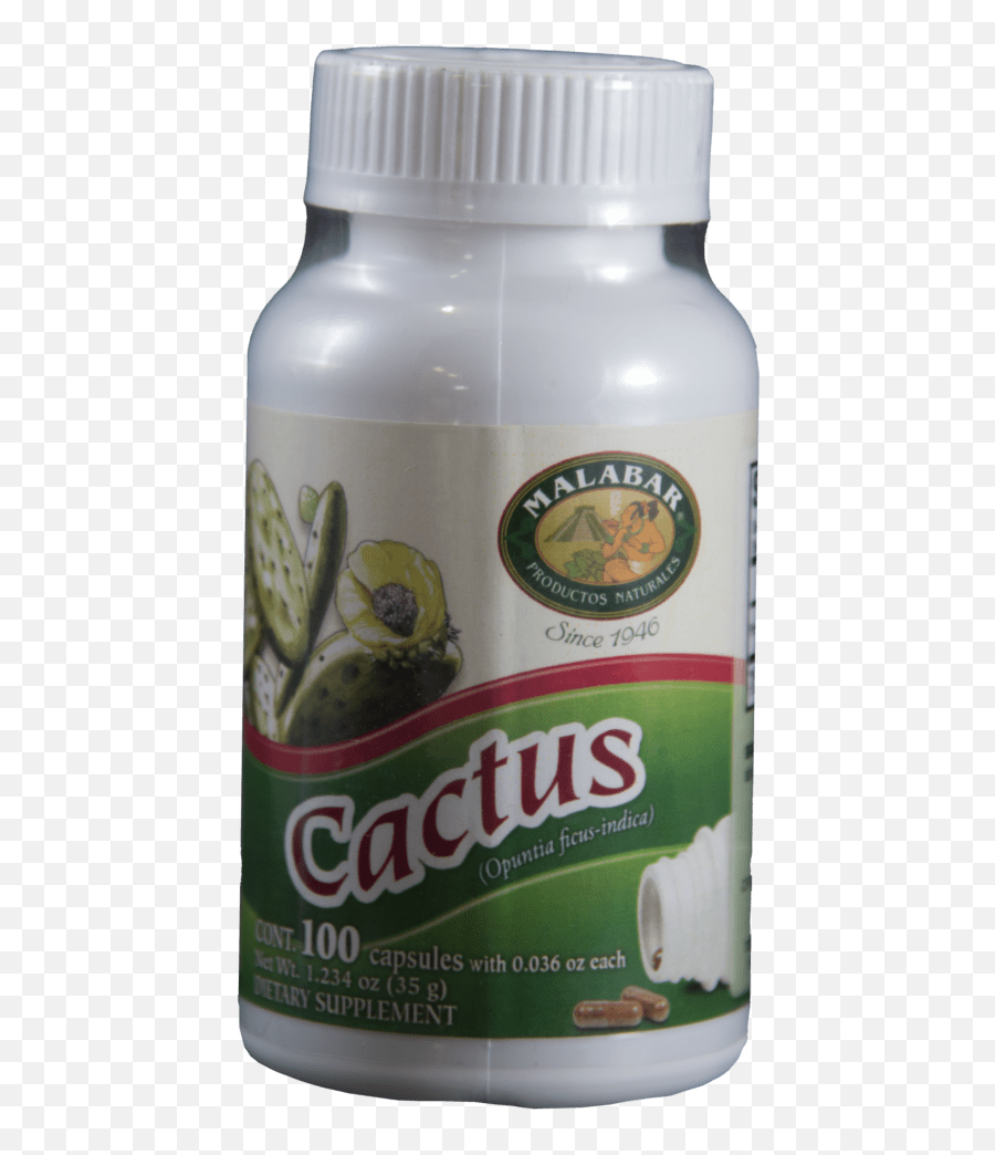 Download Hd Cactus Nopal Pills - Broccoli Png,Nopal Png