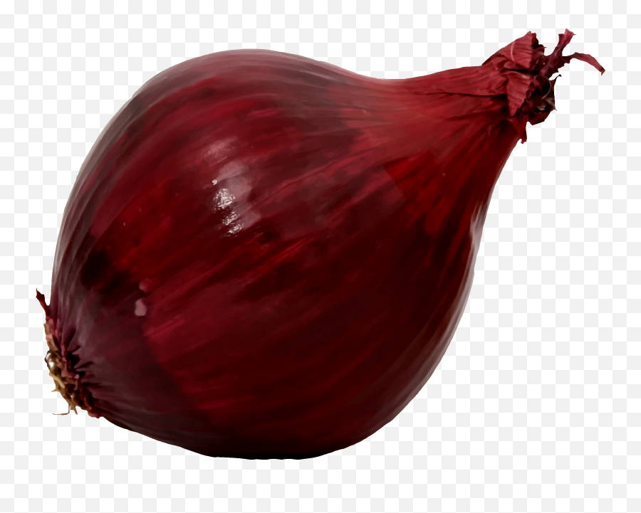 Onion Clipart Red Transparent Free - Red Onion Clipart Png,Onion Transparent Background