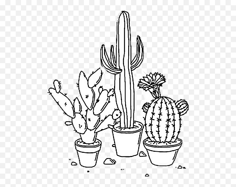 Download Sticker Tumblr Aesthetic Png Cactus Plant - Black And White Aesthetic,Aesthetic Png Tumblr
