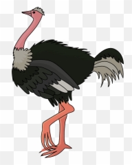 Clipart - Clipart Picture Of Ostrich Png,Ostrich Png